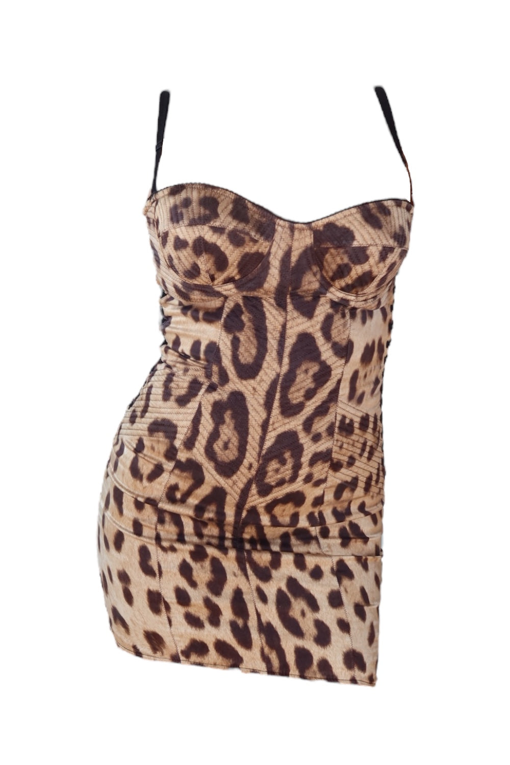 Dolce & Gabbana 2000s Silk Corset Leopard Lace Dress