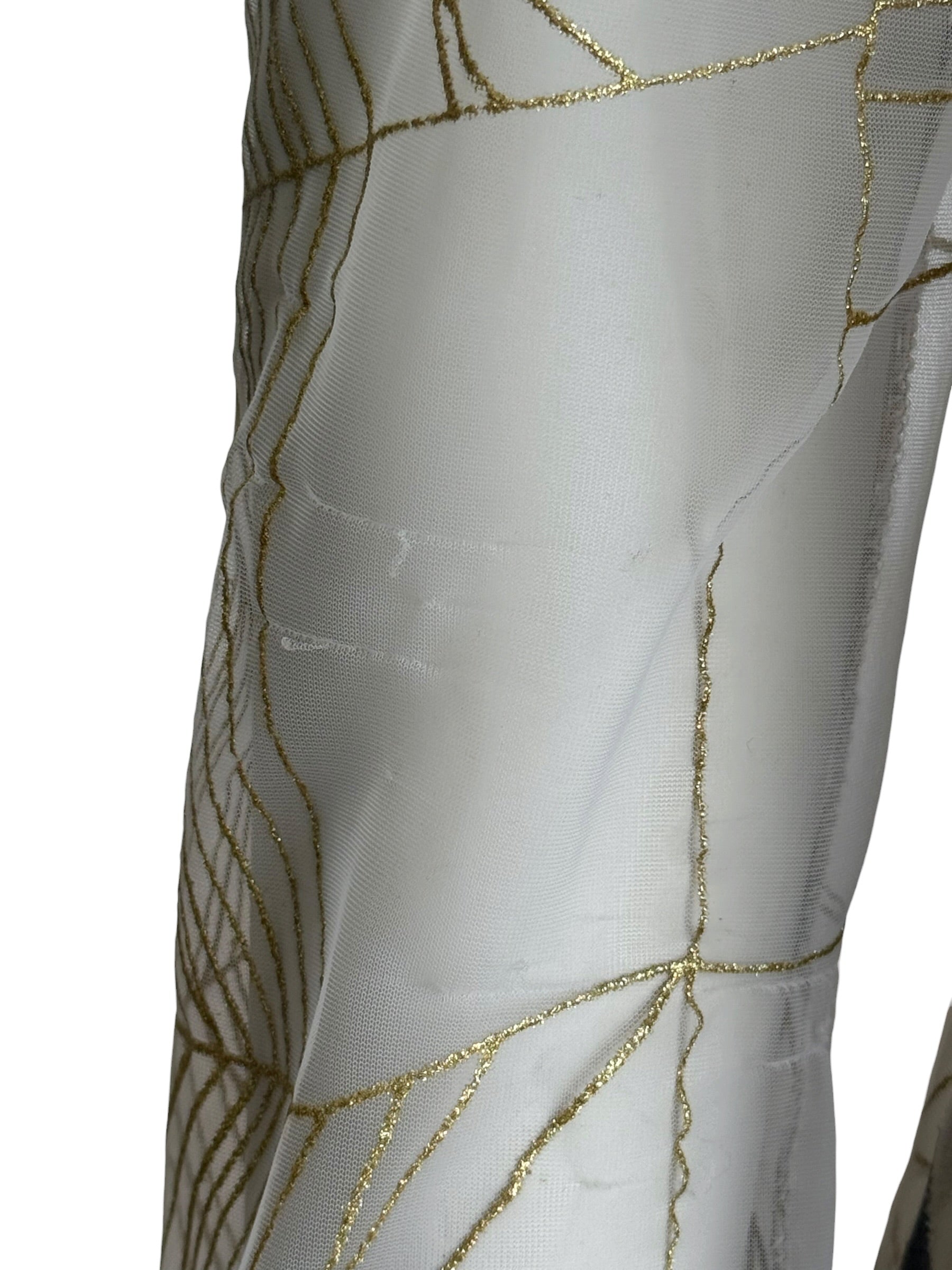 Roberto Cavalli S/S 1999 Spider Web and Daisy Print Sheer Dress Set