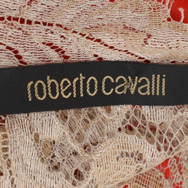 Roberto Cavalli S/S 2006 Maxi Silk Gown