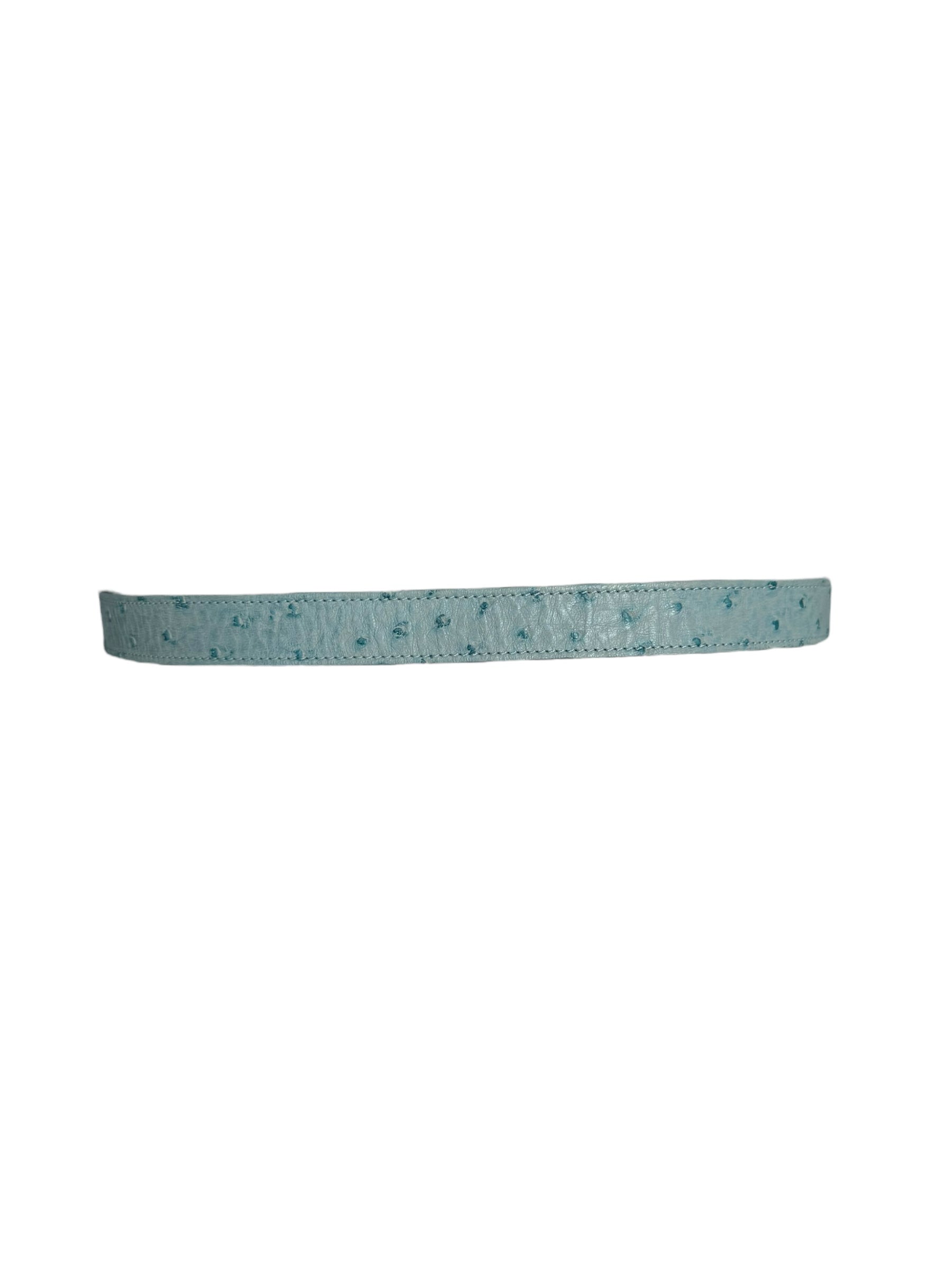 Christian Dior Ostrich Strass CD Buckle Belt
