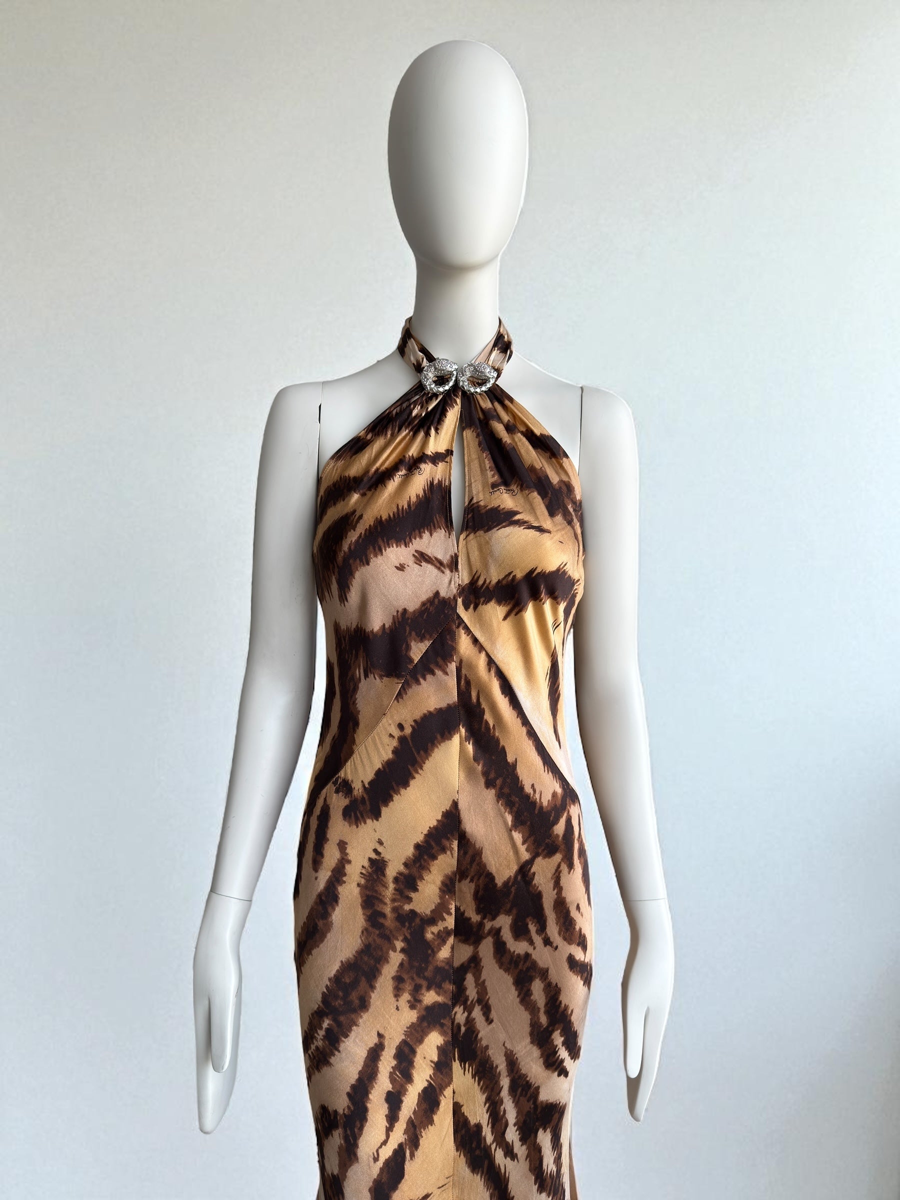 Roberto Cavalli 2007 Leopard Maxi Silk Gown
