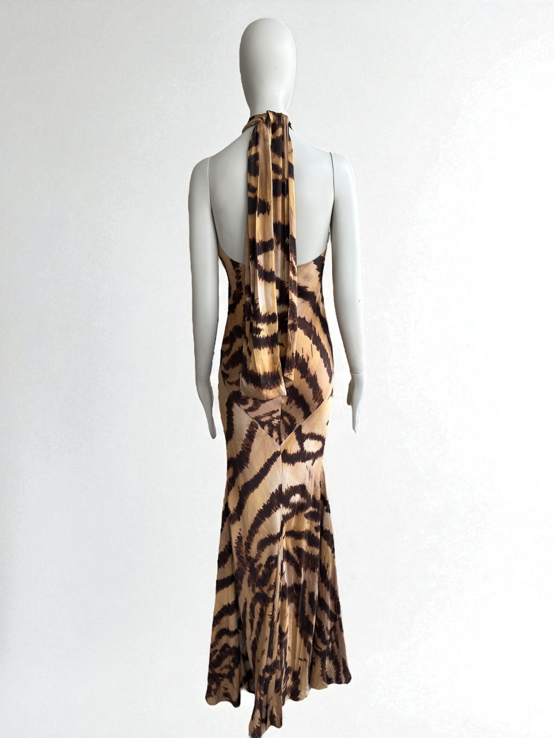 Roberto Cavalli 2007 Leopard Maxi Silk Gown