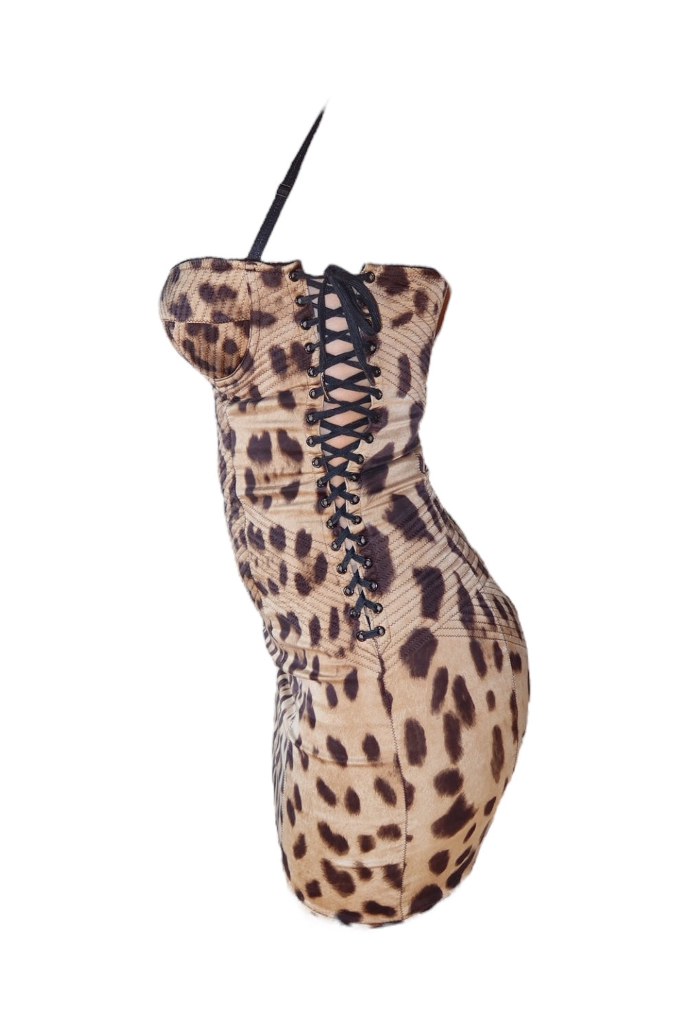 Dolce & Gabbana 2000s Silk Corset Leopard Lace Dress